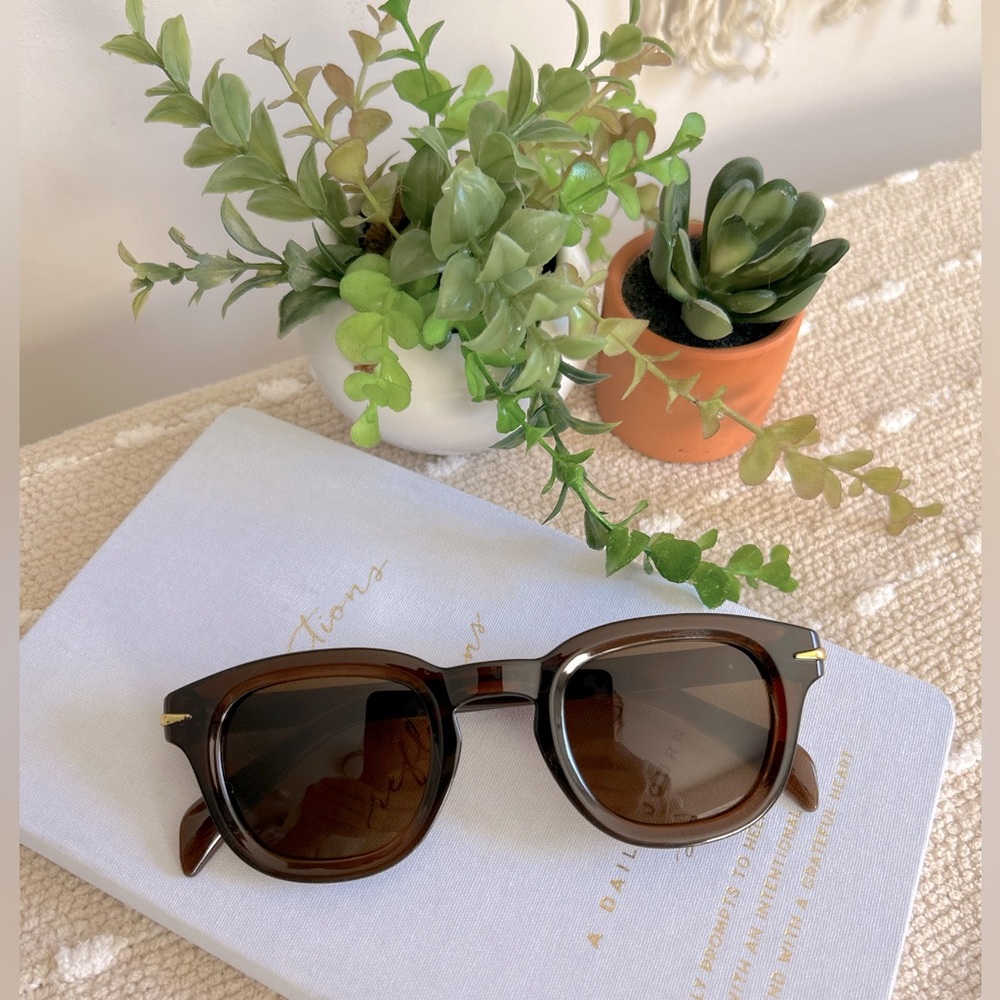 Brown framed Sunglasses